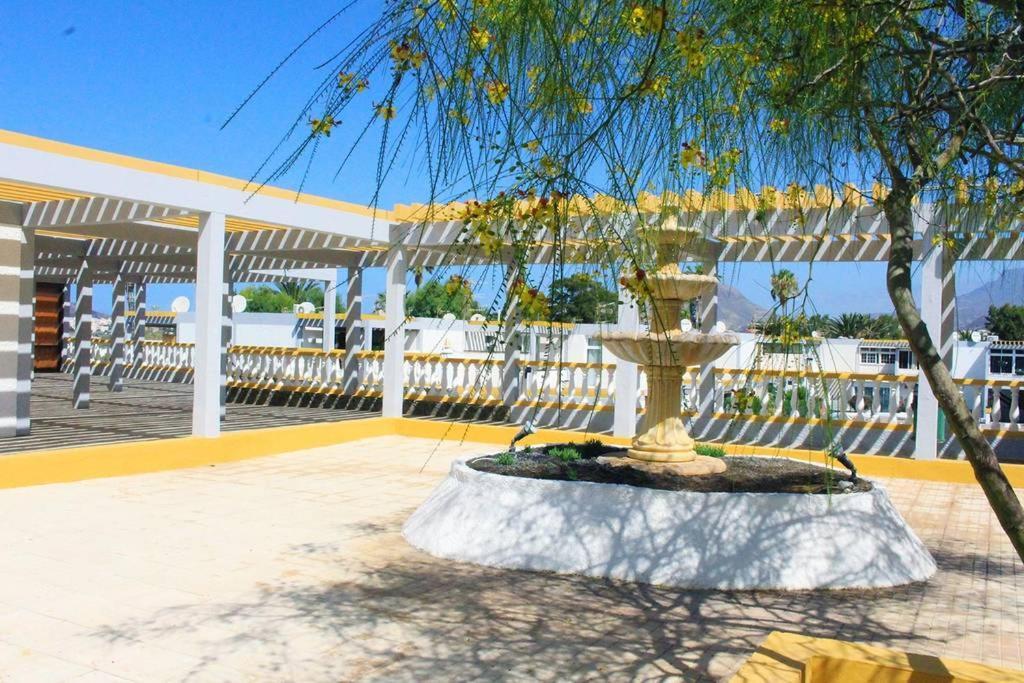 Ferienwohnung Apartamento Drago Costa Del Silencio Exterior foto