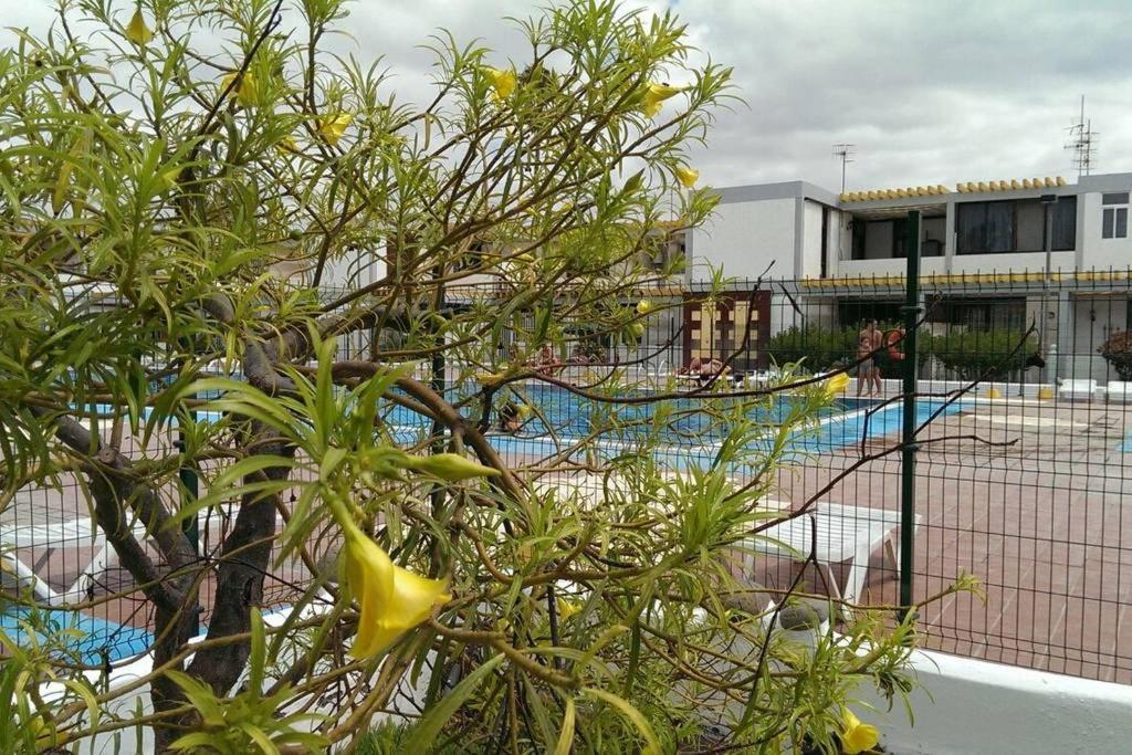 Ferienwohnung Apartamento Drago Costa Del Silencio Exterior foto